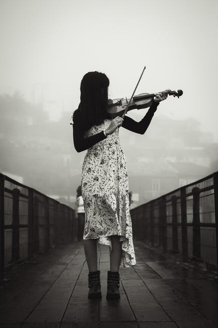 entertainment; performance — 演芸