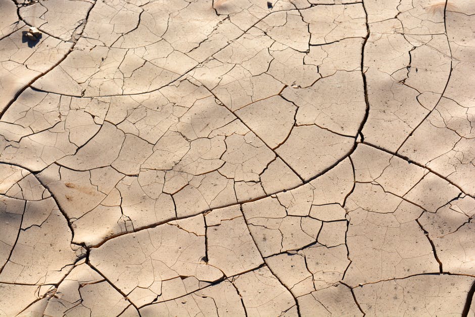 dryness; aridity; drying (e.g. clothes); dehydration; desiccation — 乾燥