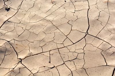 dryness; aridity; drying (e.g. clothes); dehydration; desiccation — 乾燥