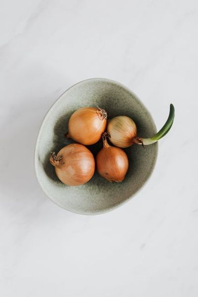 onion (Allium cepa) — 玉ねぎ