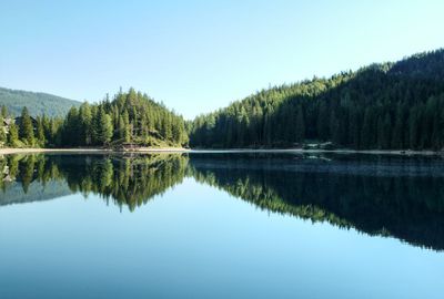 lake — 湖水