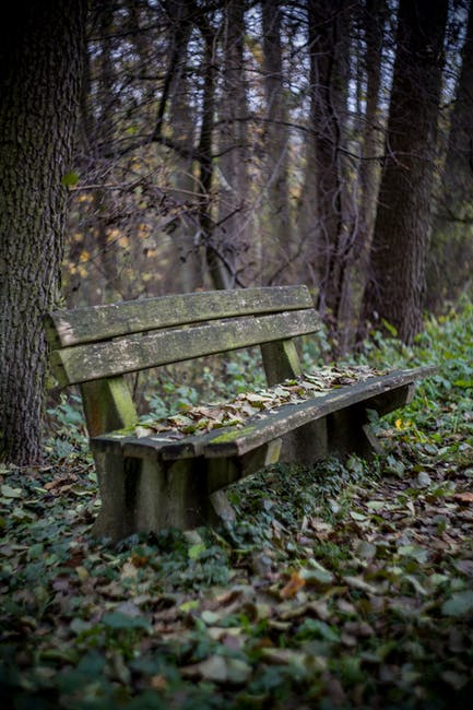 seat; bench — 腰掛け