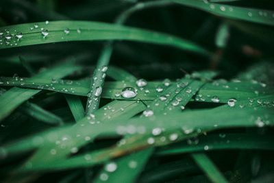 to be moist; to be damp; to get wet; to be watered — 潤う