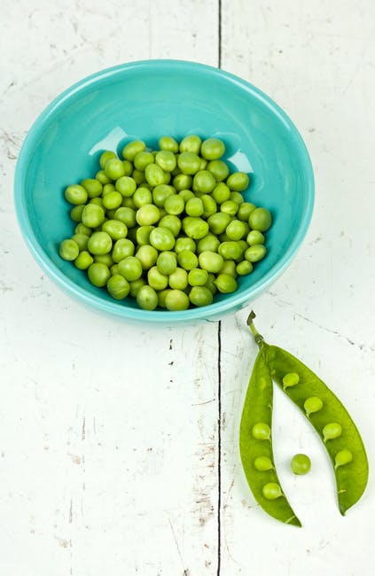 legume (esp. edible legumes or their seeds, such as beans, peas, pulses, etc.); beans; peas — 豆