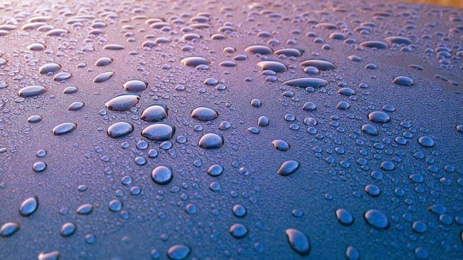 to get wet — 濡れる