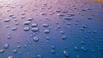 to get wet — 濡れる