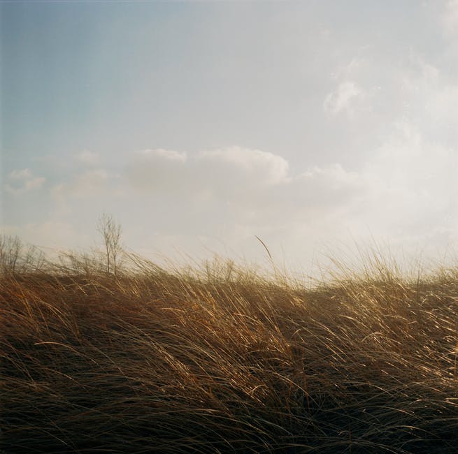 wind; breeze; draught — 風