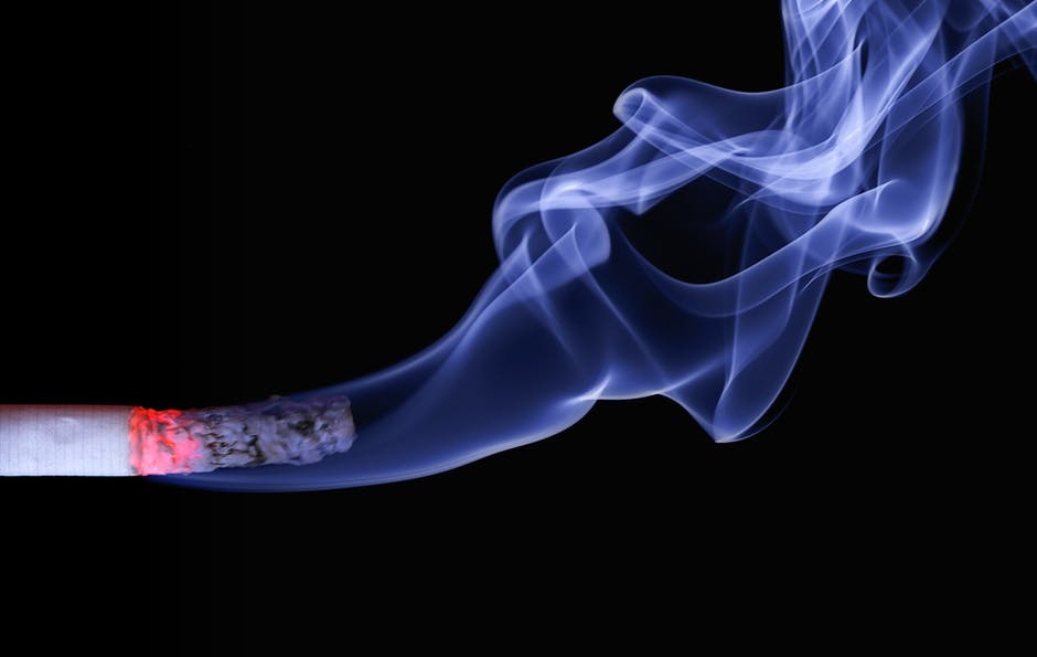 tobacco; cigarette; cigaret; cigar — 煙草